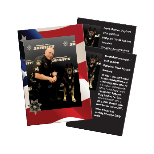 trading cards